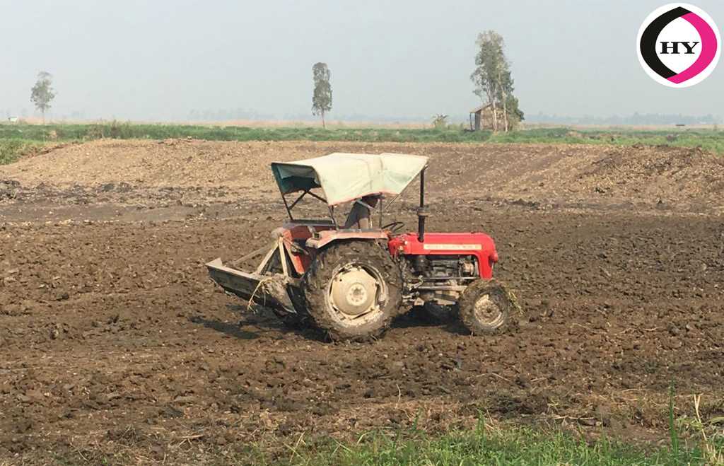 URGENT SALE – 2 Paris (Fish Farm + Paddy) – Roadside (PMGSY) – Just 10-15 Mins from Mayang Imphal Bazar – MAYANG IMPHAL