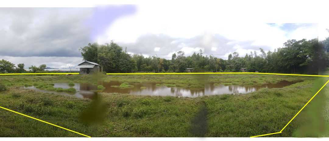 URGENT SALE – 156 Points – Unused Fish Farm + Ingkhol Patta Land – Just about 250-300 metres from the Tiddim Road – Good for any Development – MEITRAM