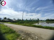 SALE - 0.19 acres - Leveled Plot - IVR side - Pucca Road - Tiddim Rd Nearby - UTLOU Utlougas.19.1